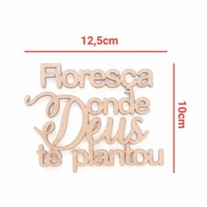 Aplique Floresça onde Deus te plantou ref 026