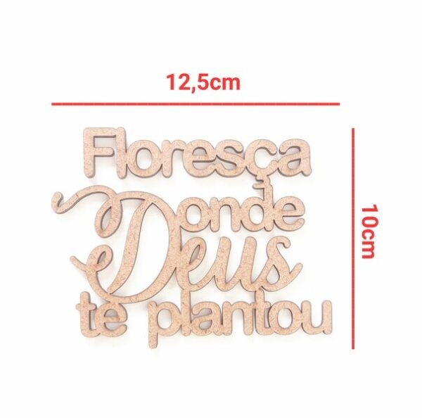Aplique Floresça onde Deus te plantou ref 026